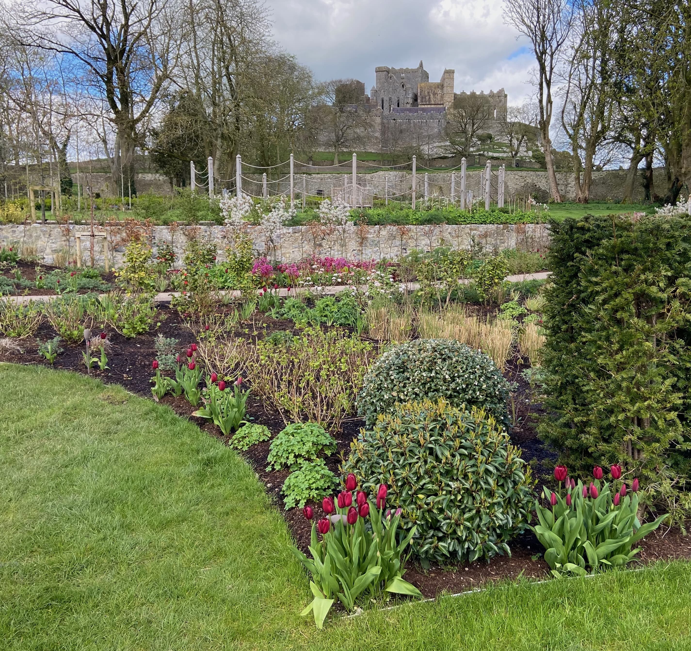 The garden at Cashel Palace